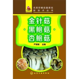 正版 食品安全加工生产工艺书籍 菇菌工厂化生产新技术 菌种食品安全